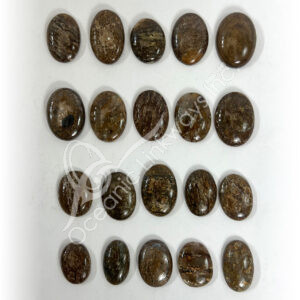 Bronzite Cabochons Mixe Shapes and Sizes