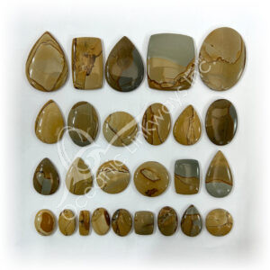 Picture Jasper Cabochons Mixed Shapes and Sizes