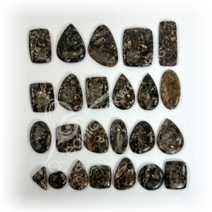 Turtella Cabochons Mixed Shapes and Sizes