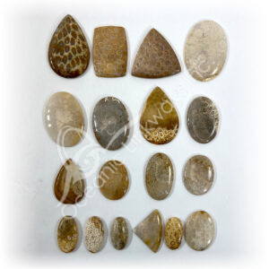 Fossil Coral Cabochons Mixed Shapes and Sizes