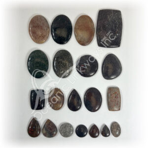 Dinosaur Bone Cabochons Mixed Shapes and Sizes