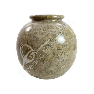 Fossil Coral Vase