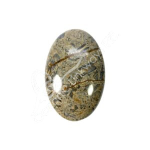 Fossil Coral Palm Stone
