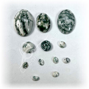 Tree Agate Cabochon (Pack of 3)