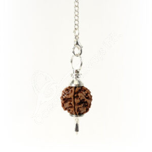 Sephoroton Rudraksha Pendulum with Plain Chain