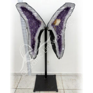 Amethyst Butterfly