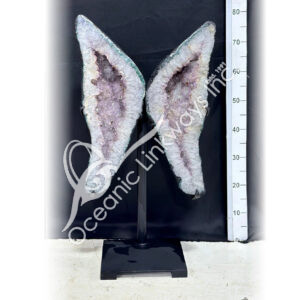 Amethyst Butterfly