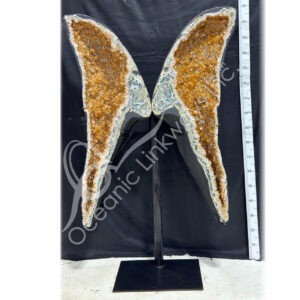Citrine Butterfly