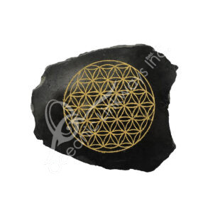Black Feldspar Slice with Gold Flower of Live Engraved